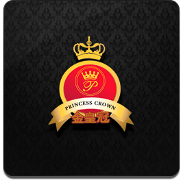 Princess Crown